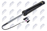 NTY REAR SHOCK ABSORBER AUDI Q8,SQ8,RSQ8 18- /L=P, +EDC/